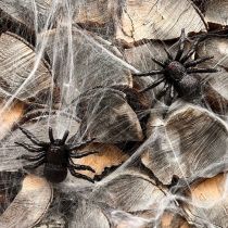 Artikel Halloween decoratie spinnenweb spinnenwebben 70×100cm 150g