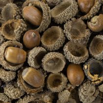 Artikel Natuurlijke krans, herfstdecoratie, eikels, deurkrans, wandkrans, doe-het-zelf, Ø30cm
