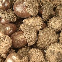 Artikel Gouden herfstvruchten, feestelijke herfstdecoraties, natuurlijke decoratieve eikels, Adventsdecoratie Ø1,5 – 2,5 cm L1,5 – 3 cm 300 g