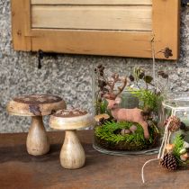 Artikel Houten paddestoeldecoratie paddestoelhoutdecoratie naturel herfstdecoratie Ø15cm H14,5cm