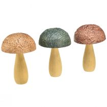 Artikel Houten paddenstoelen decoratieve paddenstoelen herfstdecoratie hout assorti 11×7,5cm 3st