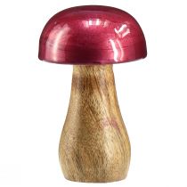 Artikel Houten champignons decoratieve champignons hout rood glans Ø6cm H10cm 2st