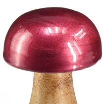 Artikel Houten champignons decoratieve champignons hout rood glans Ø6cm H10cm 2st