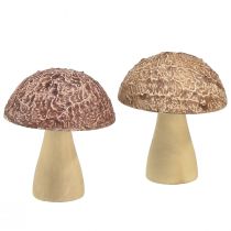 Artikel Houten paddenstoelen decoratieve paddenstoelen tafeldecoratie herfstbruin naturel 5×6cm 8 st