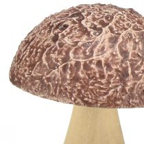 Artikel Houten paddenstoelen decoratieve paddenstoelen tafeldecoratie herfstbruin naturel 5×6cm 8 st