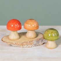 Artikel Houten paddenstoelen herfstdecoratie paddenstoelen groen rood oranje H6,5cm 9 stuks