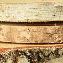Artikel Houten schijven berkenhout met schors boomschijven Ø20-22cm 3 stuks