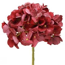 Artikel Hortensia Kunst Bordeaux Grote Bloem Ø15cm L58cm 2st