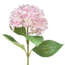 Artikel Hortensia kunstlichtroze kunstbloementuinbloem 65cm