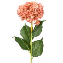 Artikel Hortensia Roze 80cm 1 st