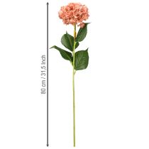 Artikel Hortensia Roze 80cm 1 st