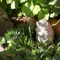 Artikel Egel herfstdecoratie figuur gegoten steen wit gewassen H14,5cm
