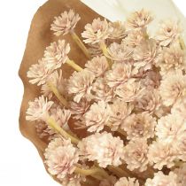 Artikel Italiaanse Strobloem Kunstbloemen Roze L28cm