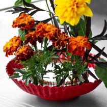 Artikel Creatieve hulp bij het maken van bloemstukken met messing pinnen voor Ikebana en bloemstukken