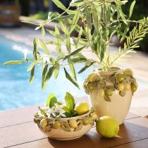 Artikel Keramische Vaas Citroen Decoratie Mediterraan Groen Geel H19cm