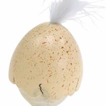 Kuiken in de eierschaal wit, creme 6cm 6st