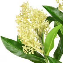 Artikel Kunstbloemen crème Skimmia japonica Skimmie 45cm 2st