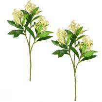 Artikel Kunstbloemen crème Skimmia japonica Skimmie 45cm 2st