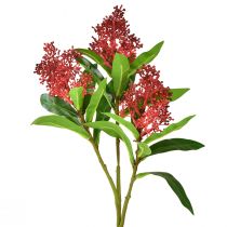 Artikel Kunstbloemen Rood Skimmia japonica Skimmie 45cm 2st