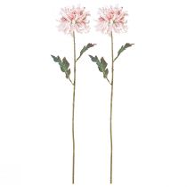 Artikel Kunstchrysanten Roze Mauve Ø13cm L72cm 2st