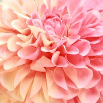 Artikel Kunstdahlia&#39;s in perzikroze Ø10cm L80cm 2st