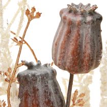 Artikel Klaproos capsules decoratie gedroogde bloemen kunstvaren crème 63cm