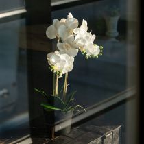 Artikel Kunstmatige orchidee in een pot voor een harmonieuze sfeer, wit, 60 cm