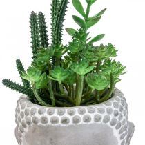 Kunst Succulent Bloempot Boeddha Ø12cm H24cm