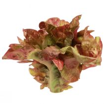 Artikel Kunstsla Lollo Rosso siersla krop Ø20cm