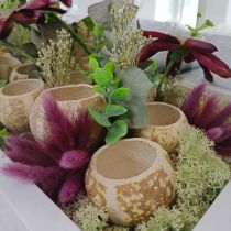 Artikel Pompoendecoratie Bell Cup Pompoen Cup gebleekt 50 st