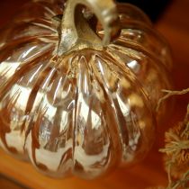 Artikel Pompoendecoratie glas glazen pompoen tafeldecoratie oranje Ø14cm H18cm