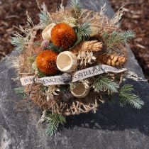 Artikel Kunstbloemen, Banksia, Proteaceae Oranje L58cm H6cm 3 stuks