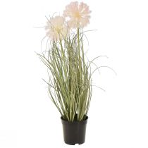 Artikel Kunstbloemen decoratieve bolbloem allium sierui kunst 54cm