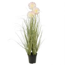 Artikel Kunstbloemen decoratieve bolbloem allium sierui kunst 78cm