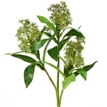 Artikel Kunstbloemen groen Skimmia japonica Skimmie 45cm 2st