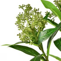 Artikel Kunstbloemen groen Skimmia japonica Skimmie 45cm 2st