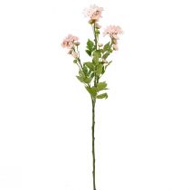 Artikel Kunstbloemen Kunstasters Zijden Bloemen Roze 80cm