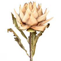 Artikel Kunstplant artisjok crème droge look Ø15cm 73cm