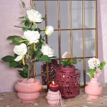 Artikel Lantaarn met bladmotief, op zonne-energie, voor sfeervolle buitenverlichting, 25 cm