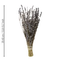 Artikel Gedroogde lavendel, geurige gedroogde bloemen, 35-40 cm, 100 g