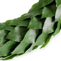 Lauwerkrans Ø46cm groen