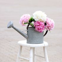Artikel Metalen gieter, tuindecoratie vintage look zilvergrijs L53cm H29cm