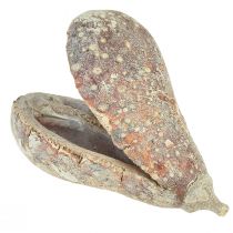 Artikel Mike Fruit exoten gedroogd wit gewassen 4-6cm 50 st