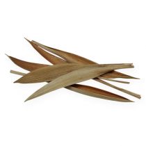 Artikel Kokosnoot mini naturel 0,5 kg