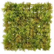 Artikel Kunstmosmosmat – perfect voor mosfoto lichtgroen 25×25cm