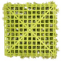 Artikel Kunstmosmosmat – perfect voor mosfoto lichtgroen 25×25cm