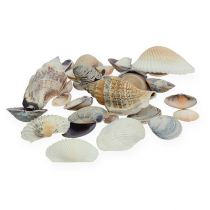 Artikel Natuurlijke mosselmix 400g