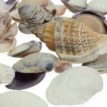 Artikel Natuurlijke mosselmix 400g