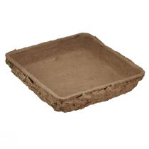 Artikel Oasis Biolit ondervloer ½ steekschuimsteen 13×13×2cm 12 st