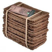 Artikel Oasis Biolit basis voor steekschuimstenen 25×14×2cm, 11 stuks - Duurzame bloemstukken bloemisterij accessoires